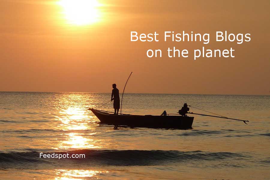 100 Best Fishing Blogs and Websites To Follow in 2024
