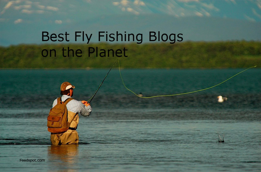 100 Best Fly Fishing Blogs and Websites To Follow in 2024