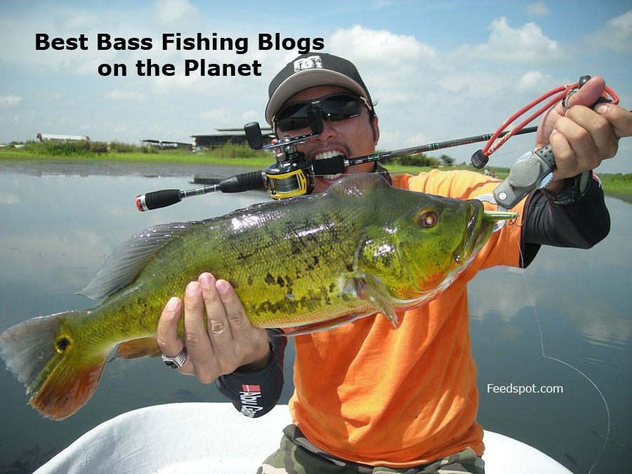35 Best Bass Fishing Blogs and Websites To Follow in 2024